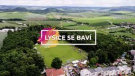 Lysice se baví 1